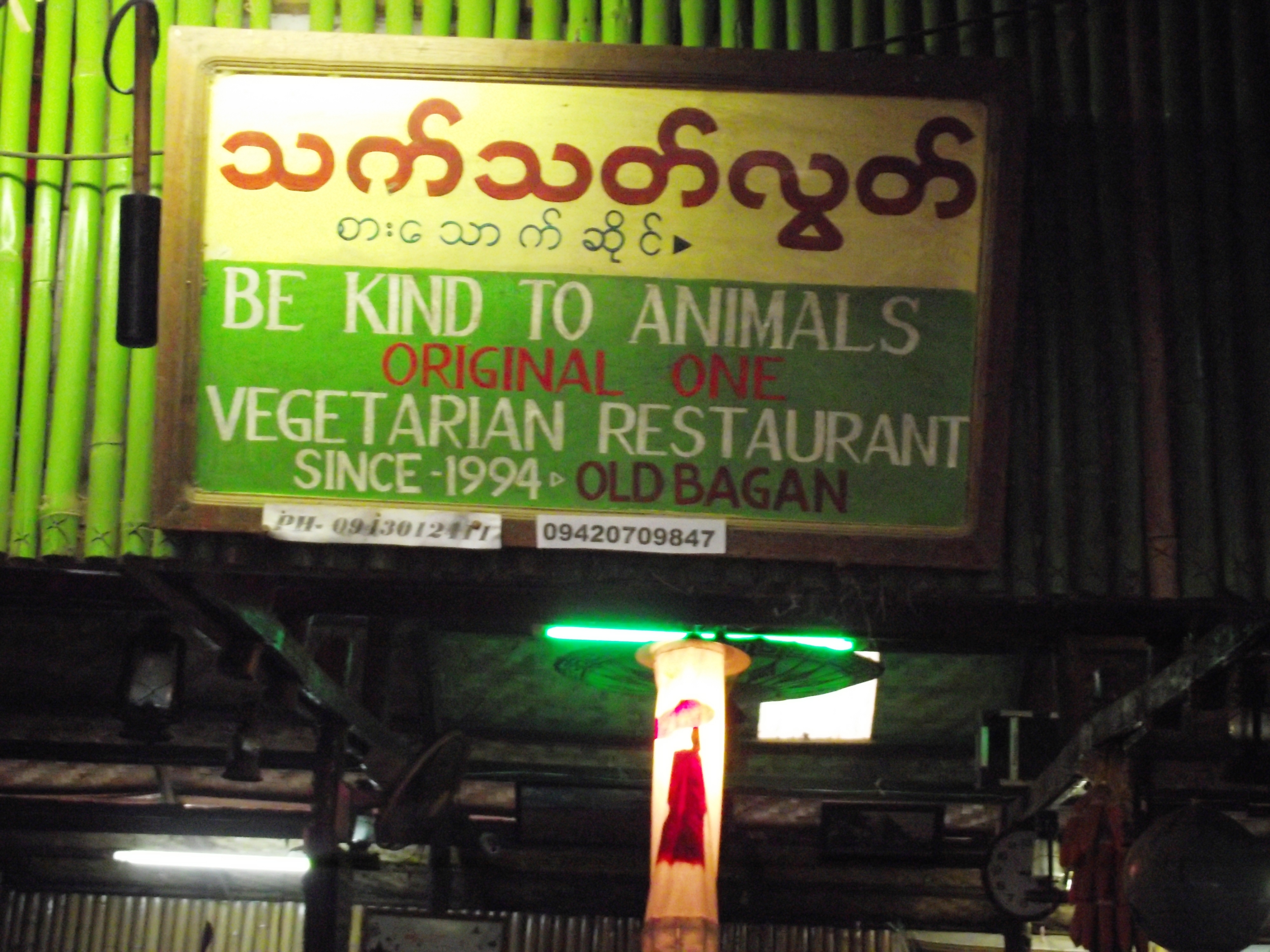 Bagan (15)