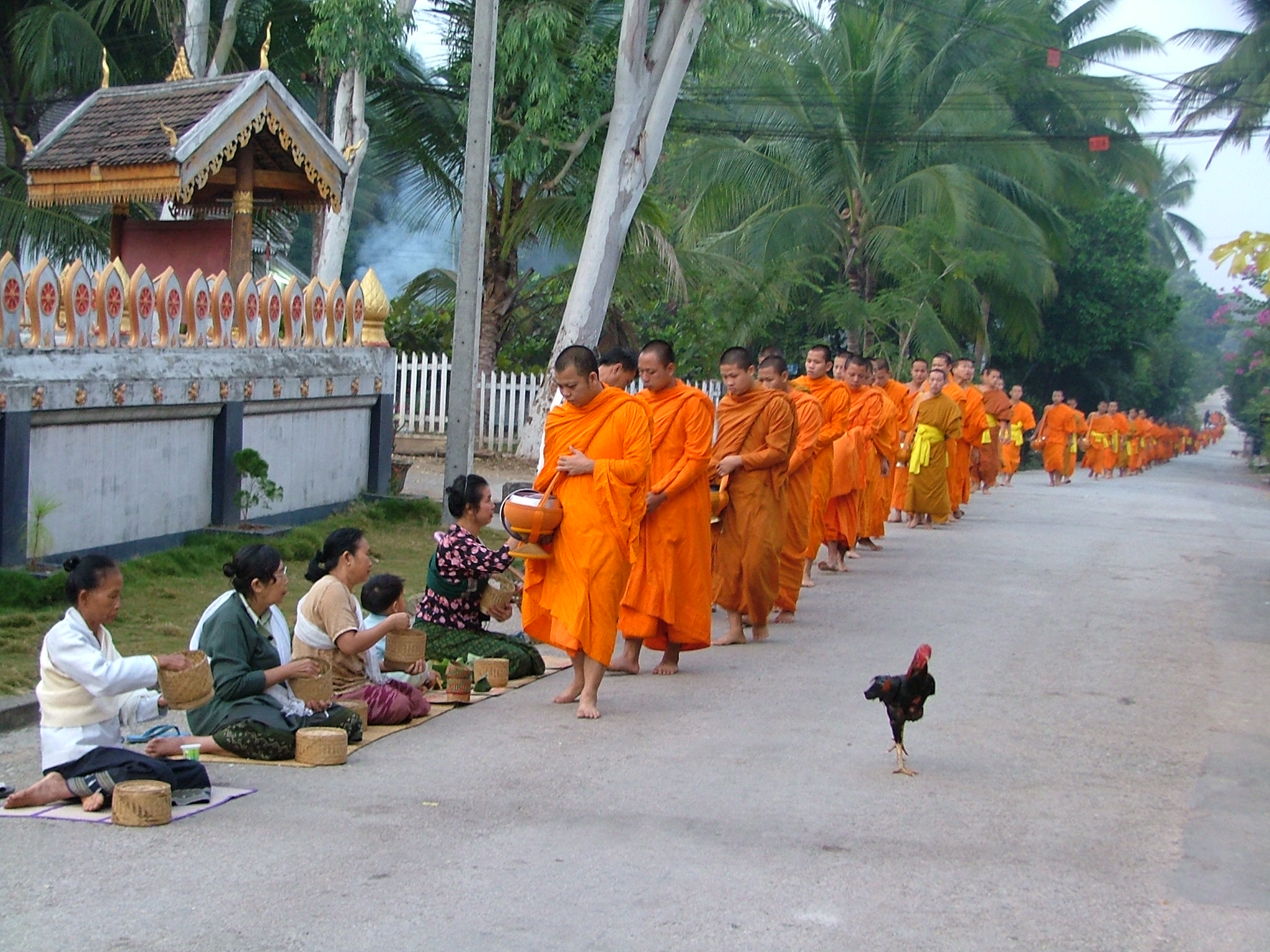 Luang-Prabang-Culture-4