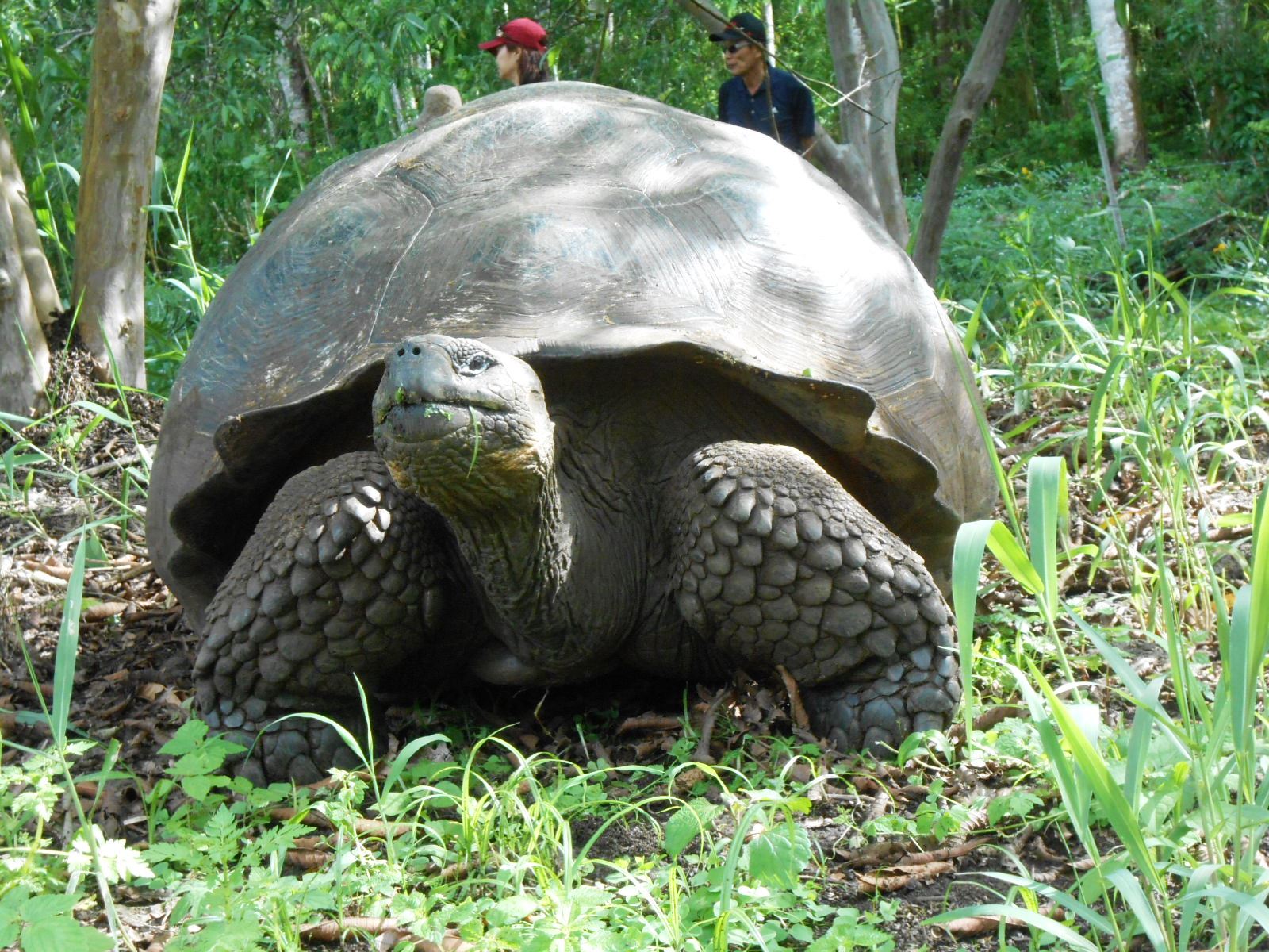 Galápagos, paraíso de Darwin